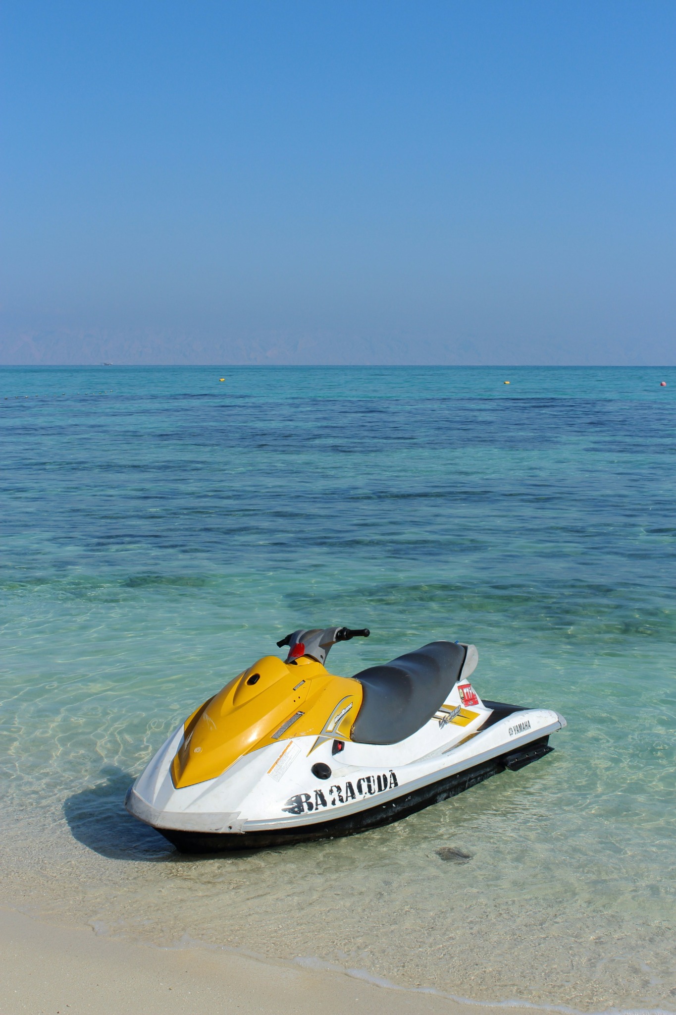 Team Water Sports